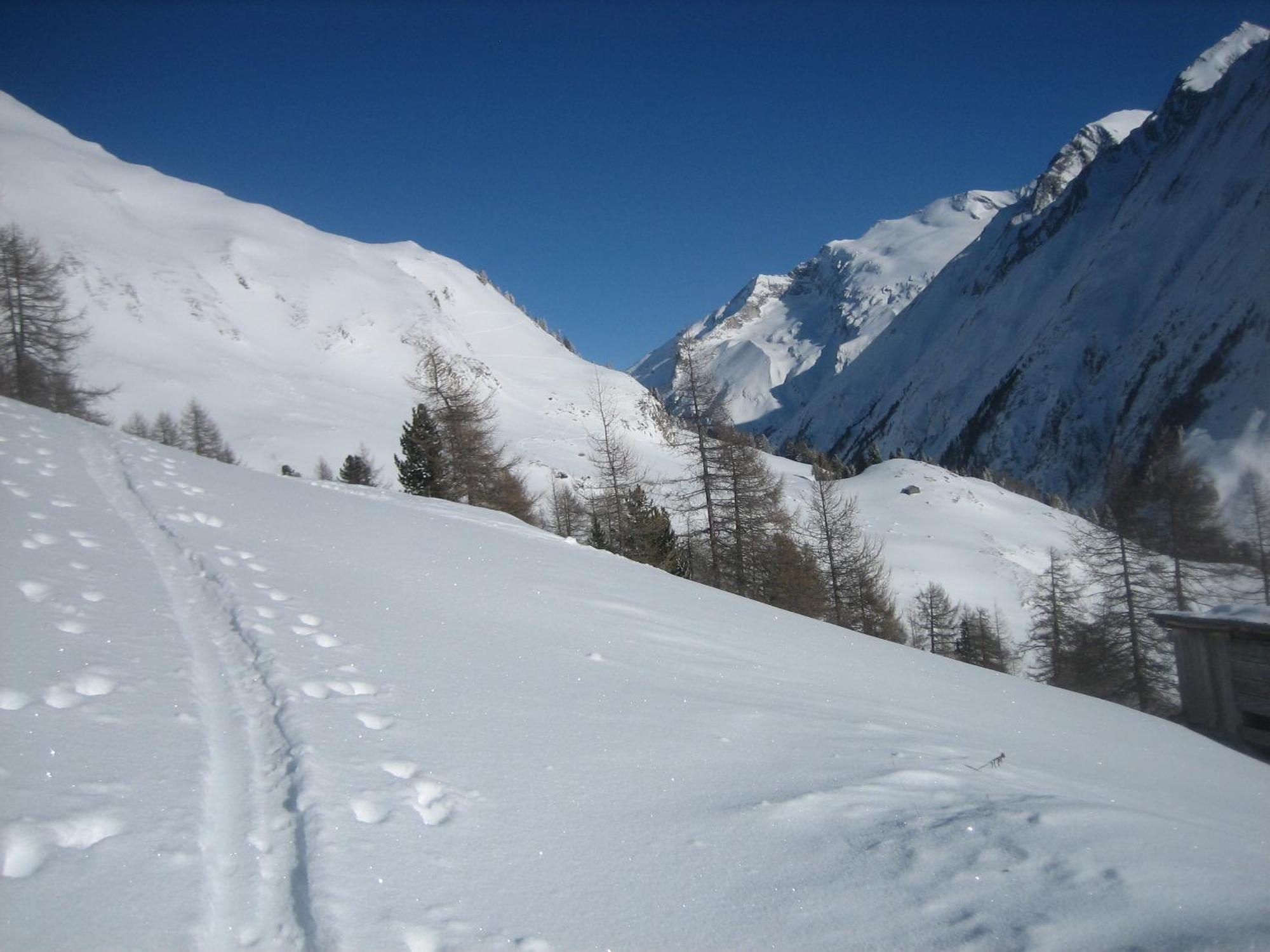 Haus Ursula Lägenhet Kals-am Großglockner Exteriör bild