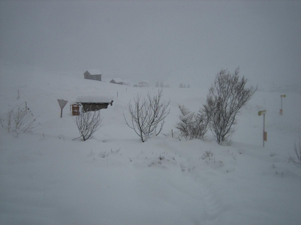 Haus Ursula Lägenhet Kals-am Großglockner Exteriör bild