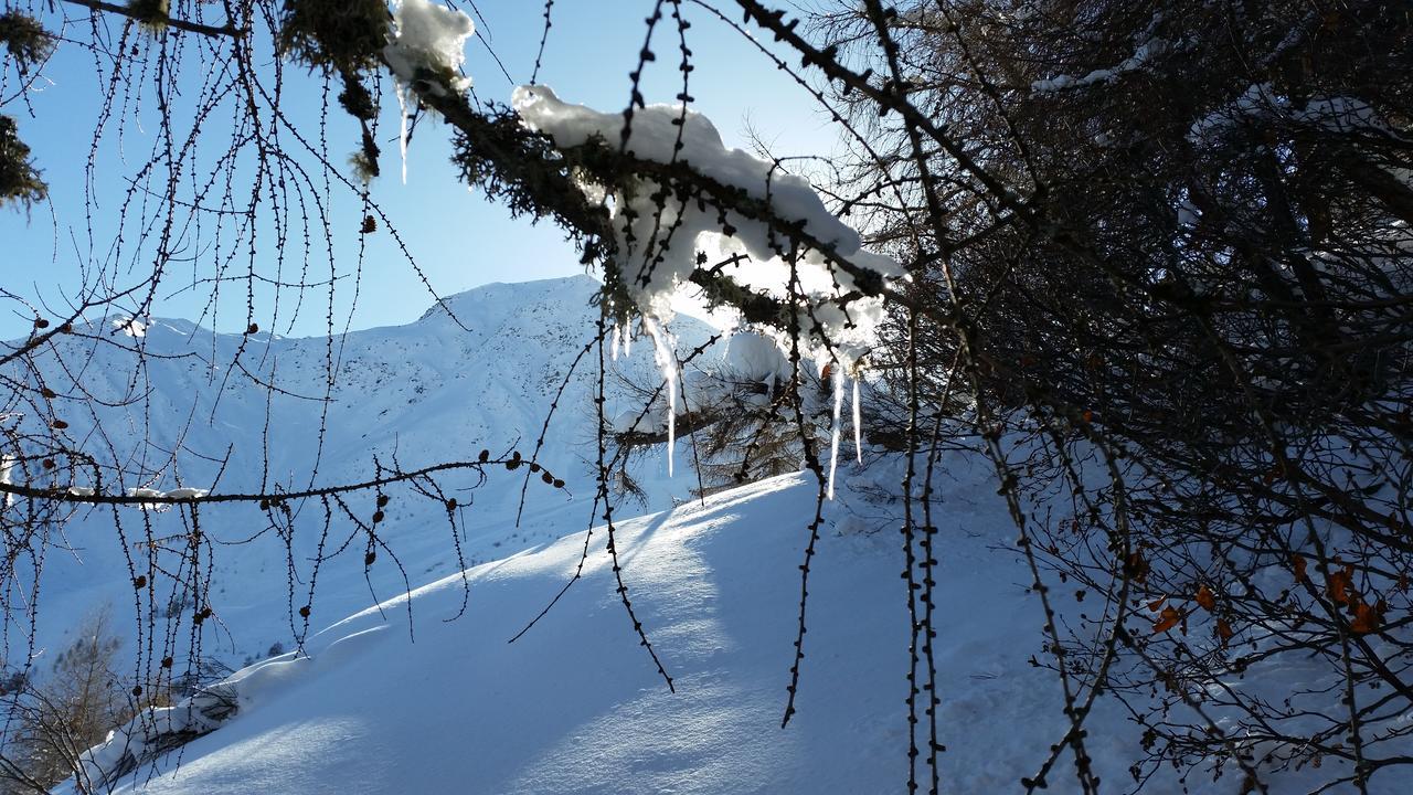 Haus Ursula Lägenhet Kals-am Großglockner Exteriör bild