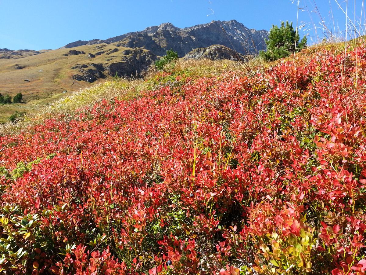 Haus Ursula Lägenhet Kals-am Großglockner Exteriör bild