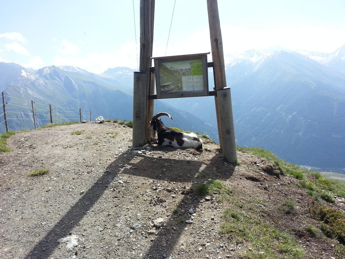 Haus Ursula Lägenhet Kals-am Großglockner Exteriör bild